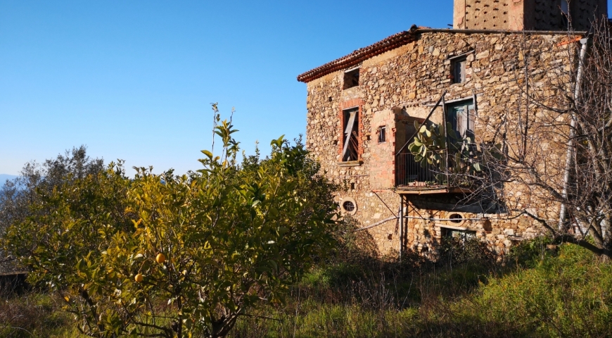 Immobiliare vendita affitto Vallo della Lucania Cilento ...